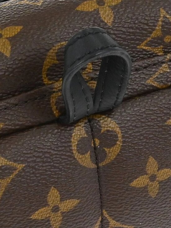 Louis Vuitton Palm Springs Mini Backpack M44873 CA2128 166938 main image 11